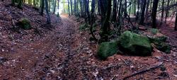 Montée vers le Bois d'Azol