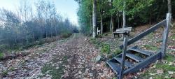 Vers l'arboretum