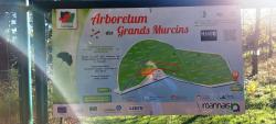  L'arboretum des Grands Murcins à Arcon