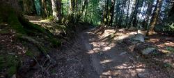 Descente vers la Croix du Trève Robin