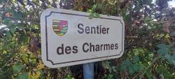 Traversée de la D 8, puis Sentier des Charmes
