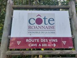 Vignoble de la Côte Roannaise