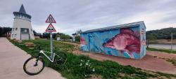Villerest Plage