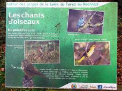 Gorges du Lourdon