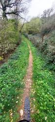 Gorges du Lourdon, single