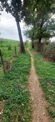 Sortie des Gorges du Lourdon, single