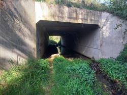 Montagny, tunnel sous la départementale