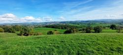 Vue sur le Beaujolais, Combre et Thizy les Bourgs