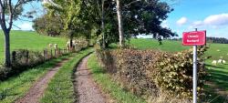 Chemin Rochard