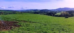 Vue sur les Monts du Beaujolais Vert