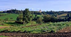 Vue sur le clocher de Montagny