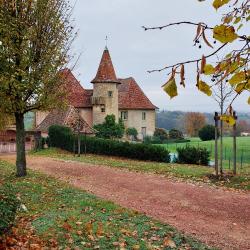 Château du Mont