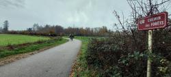 Vers la forêt
