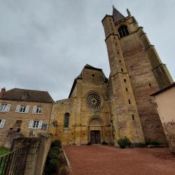 La Bénisson Dieu, abbaye