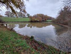La Motte, l'étang