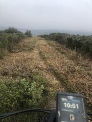VTT-34333