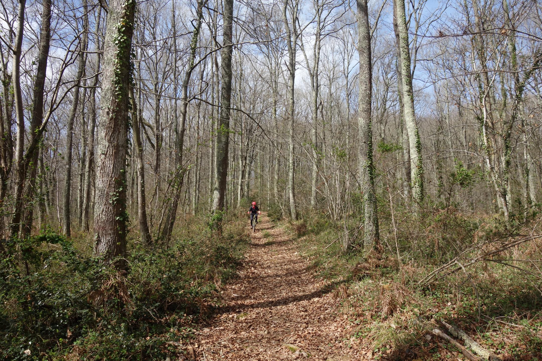 Petite boucle dans le bois d'Ossun et dolmen de Poueymayou
