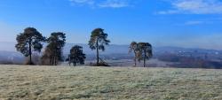 Paysage, on devine Amions dans le brouillard