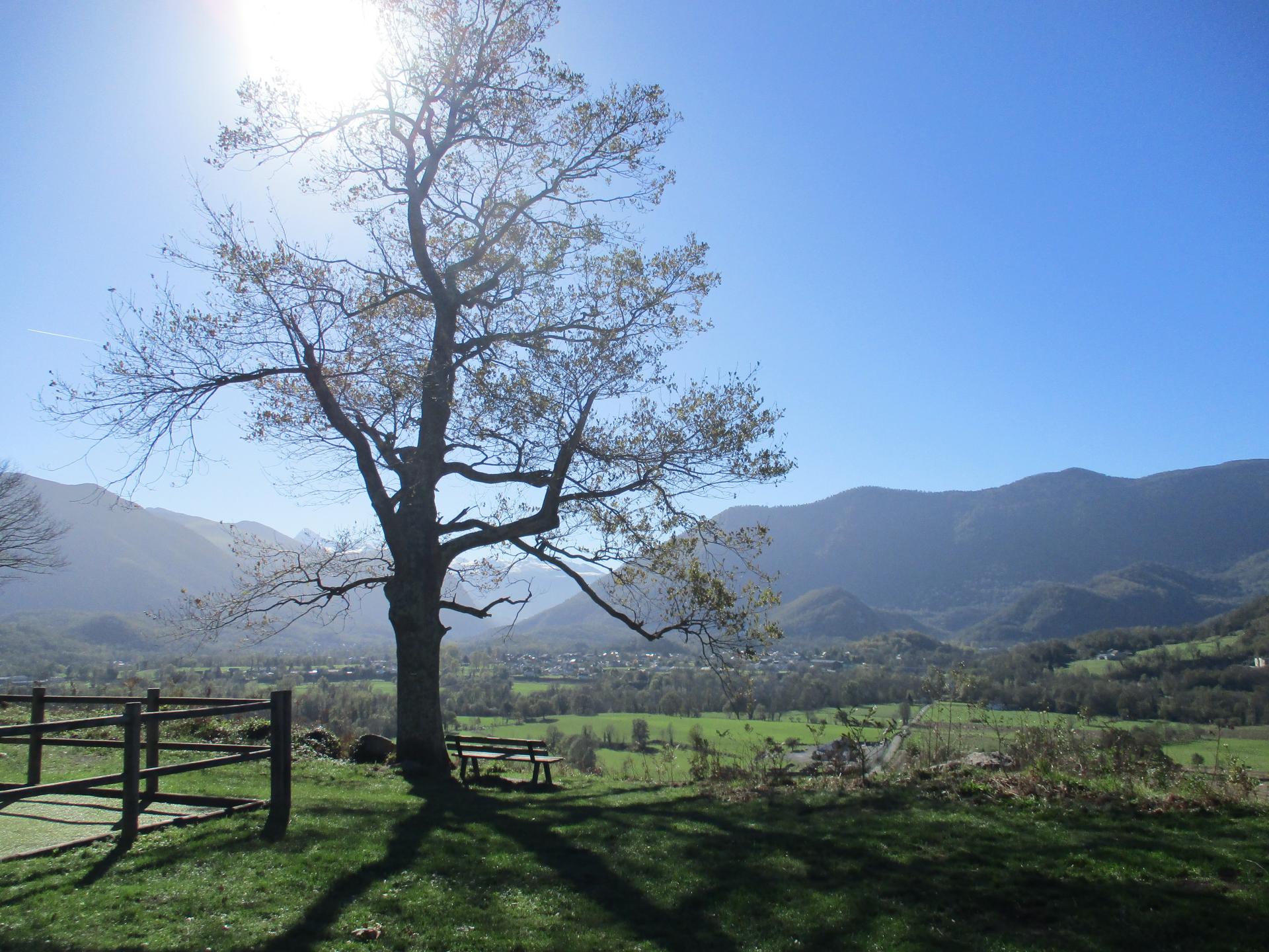 Coteaux sud de Gan depuis Bescat