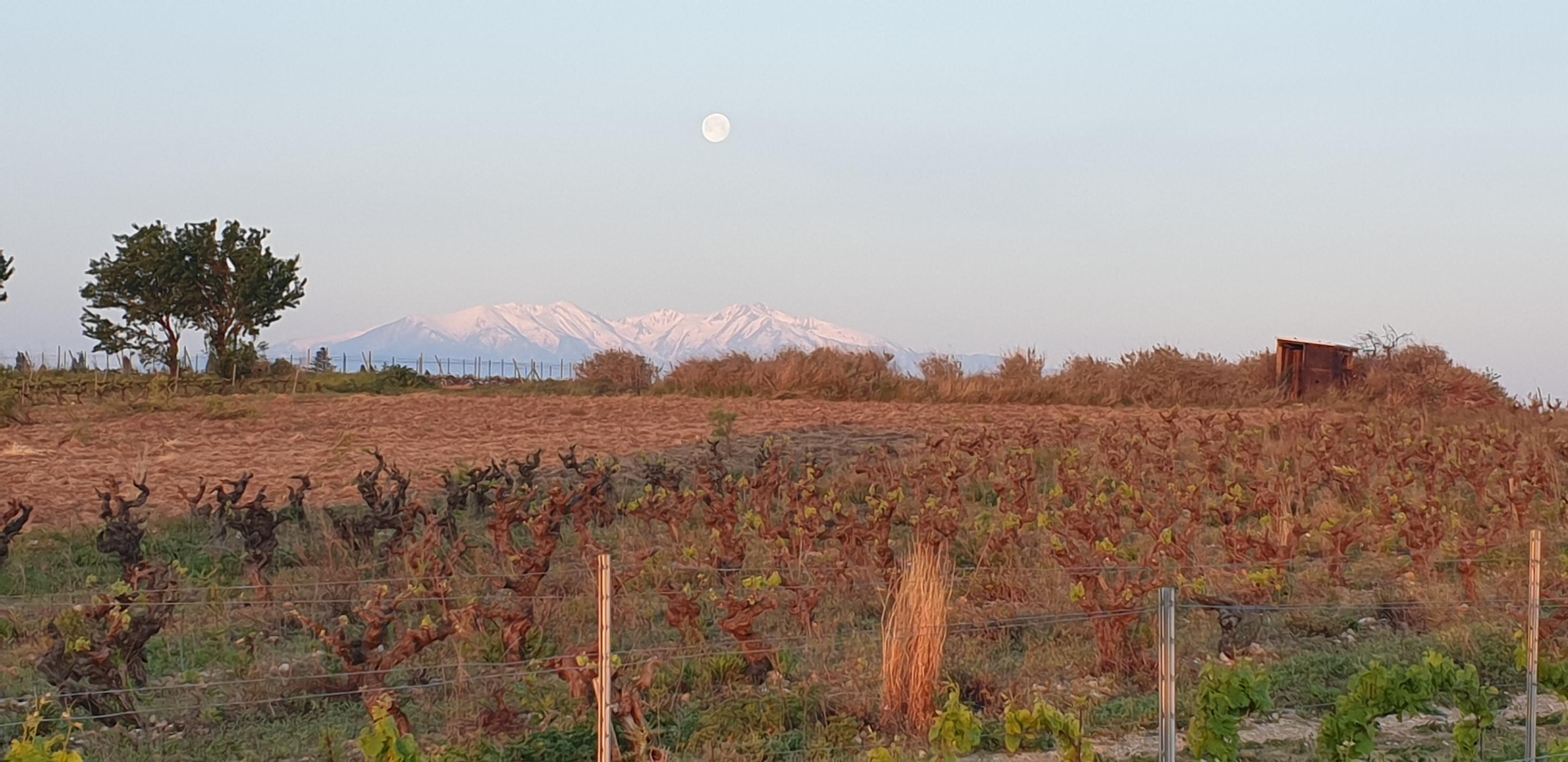 Tour du lac de Villeneuve entre vignes et vergers