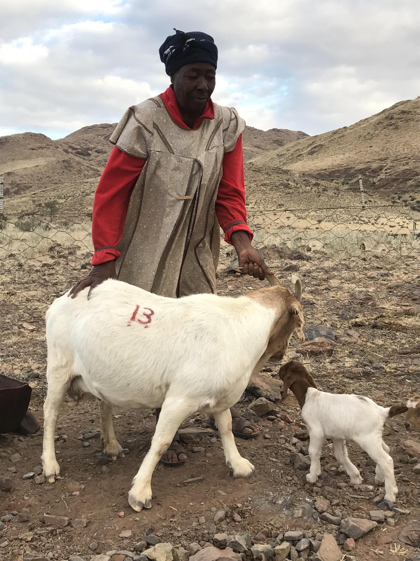 500 km en Namibie - 4ème partie