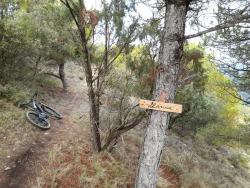 VTT-34546