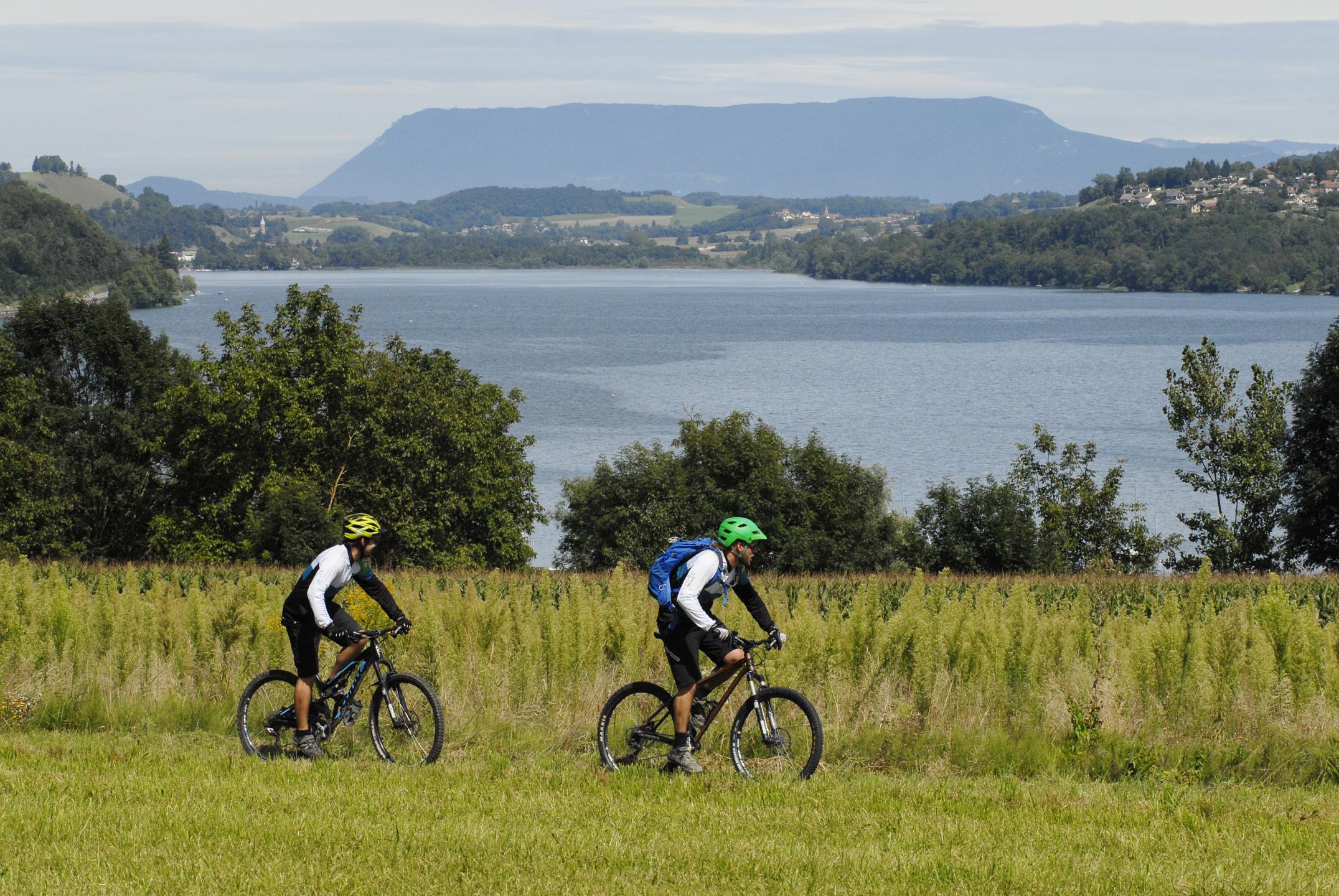 Espace VTT-FFC Pays Voironnais - Circuit n° 18 : Grand Tour du lac de Paladru