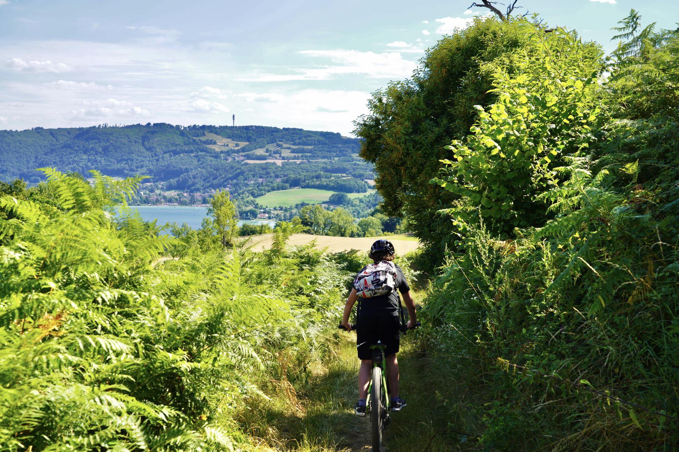 Is re Rando VTT Espace VTT FFC Pays Voironnais Circuit n 6