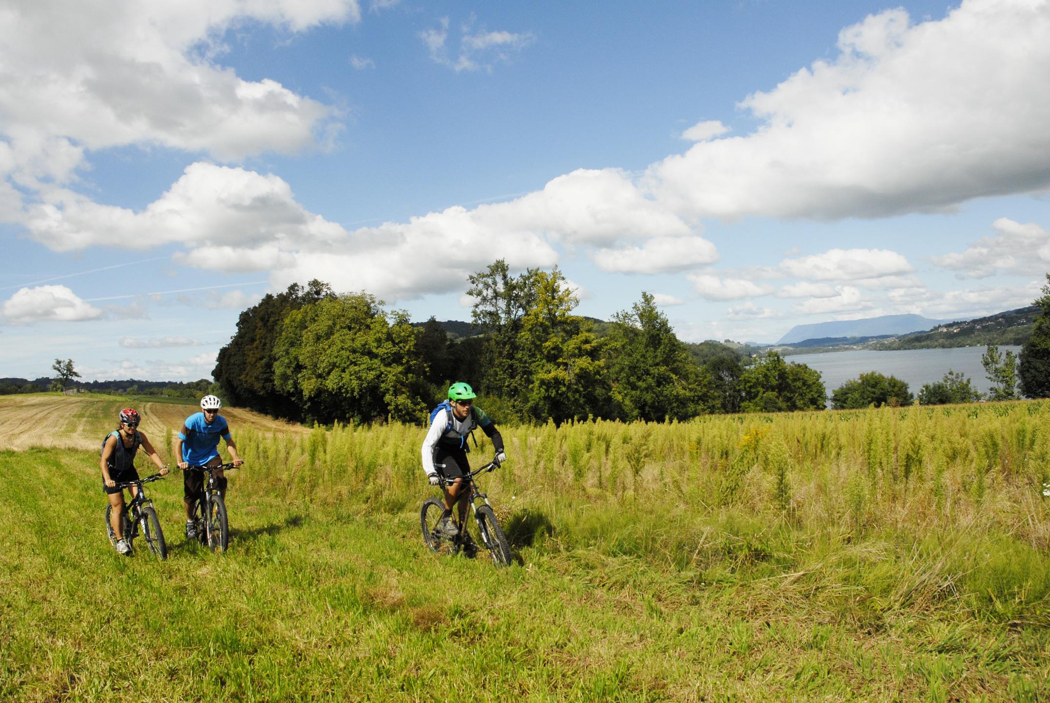 Espace VTT-FFC Pays Voironnais - Circuit n° 17 : Découverte du VTT