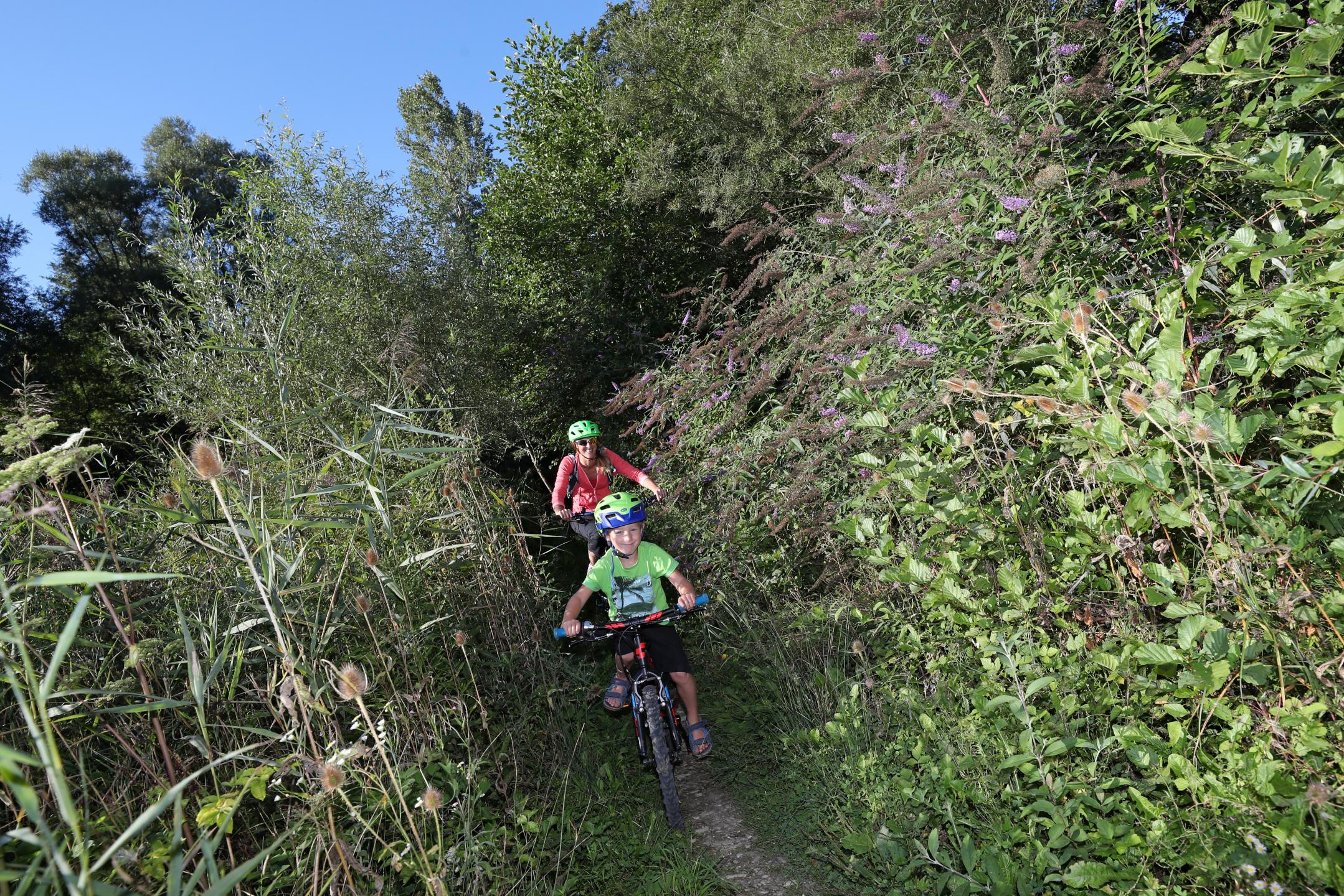 Espace VTT-FFC Pays Voironnais - Circuit n°31 : Les marais du Val d'Ainan