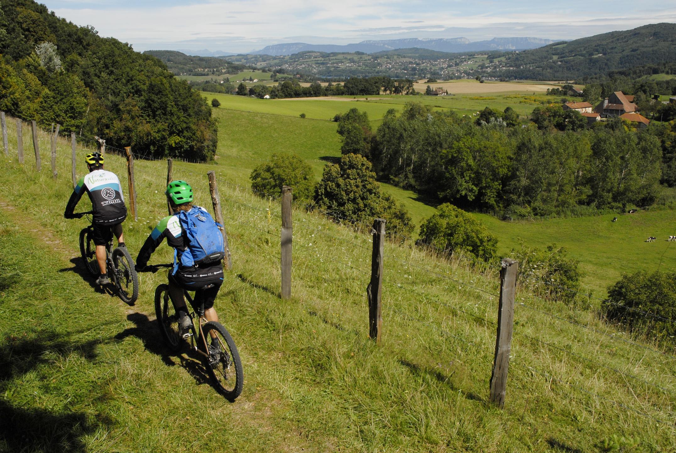Espace VTT-FFC Pays Voironnais - Circuit n°33 : De marais en châteaux