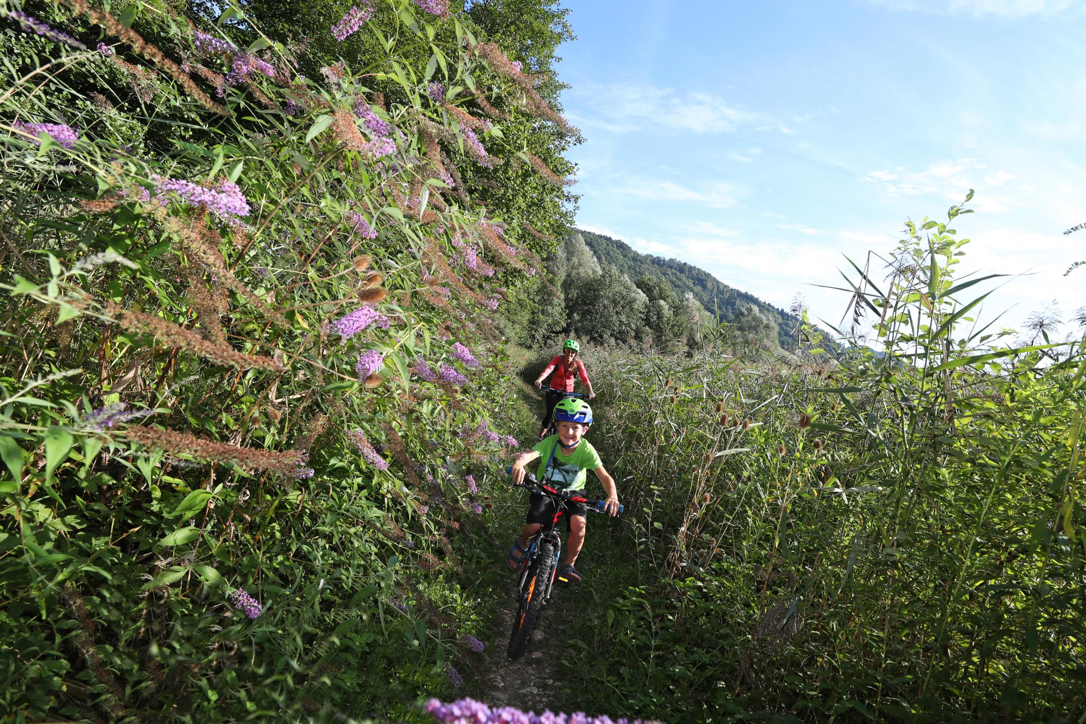 Espace VTT-FFC Pays Voironnais - Circuit n°34 : Le Faucon