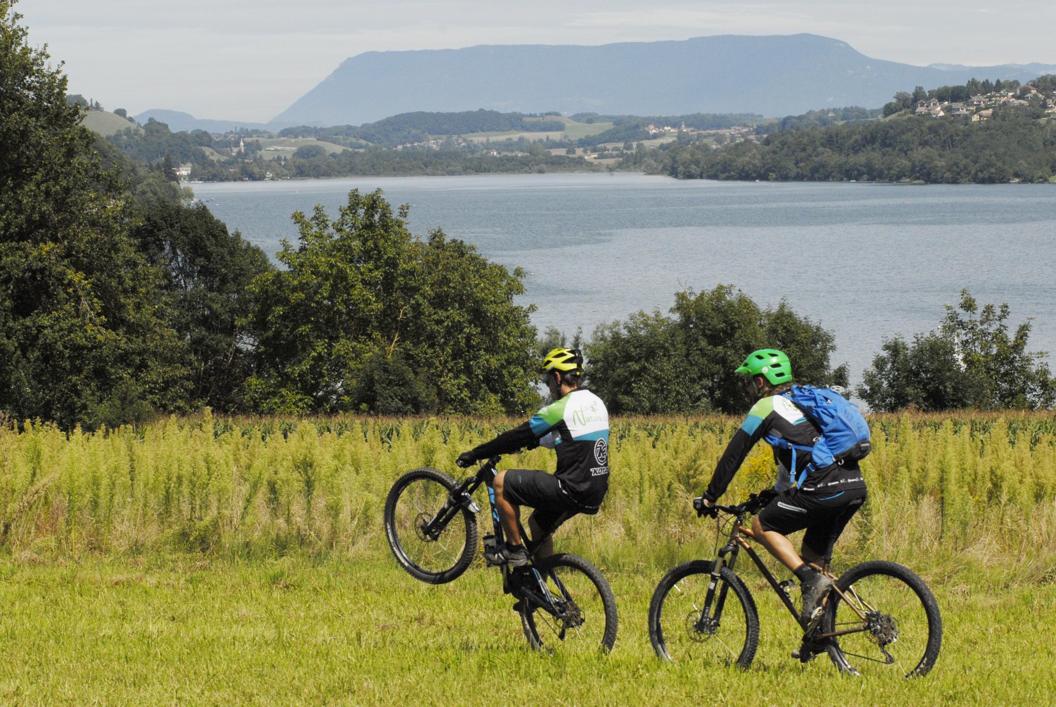 Espace VTT-FFC Pays Voironnais - Circuit n° 21 : Le champ des vaches
