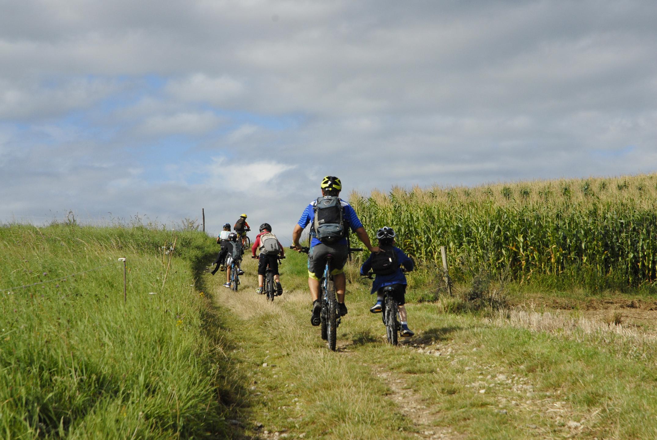Espace VTT-FFC Pays Voironnais - Circuit n° 23 : Forêt de la Sylve Bénite
