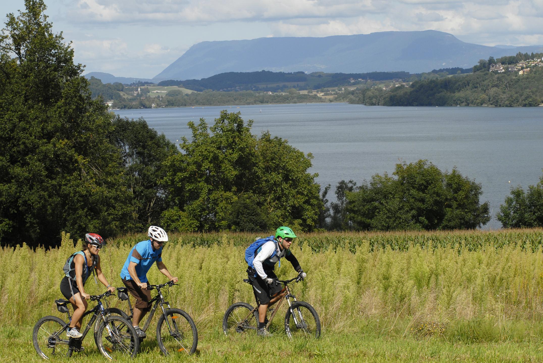 Espace VTT-FFC Pays Voironnais - Circuit n° 2 - Les hauts du lac de Paladru