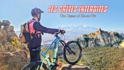 VTT-34656