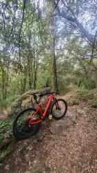 VTT-34699