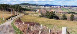 Paysage du Forez