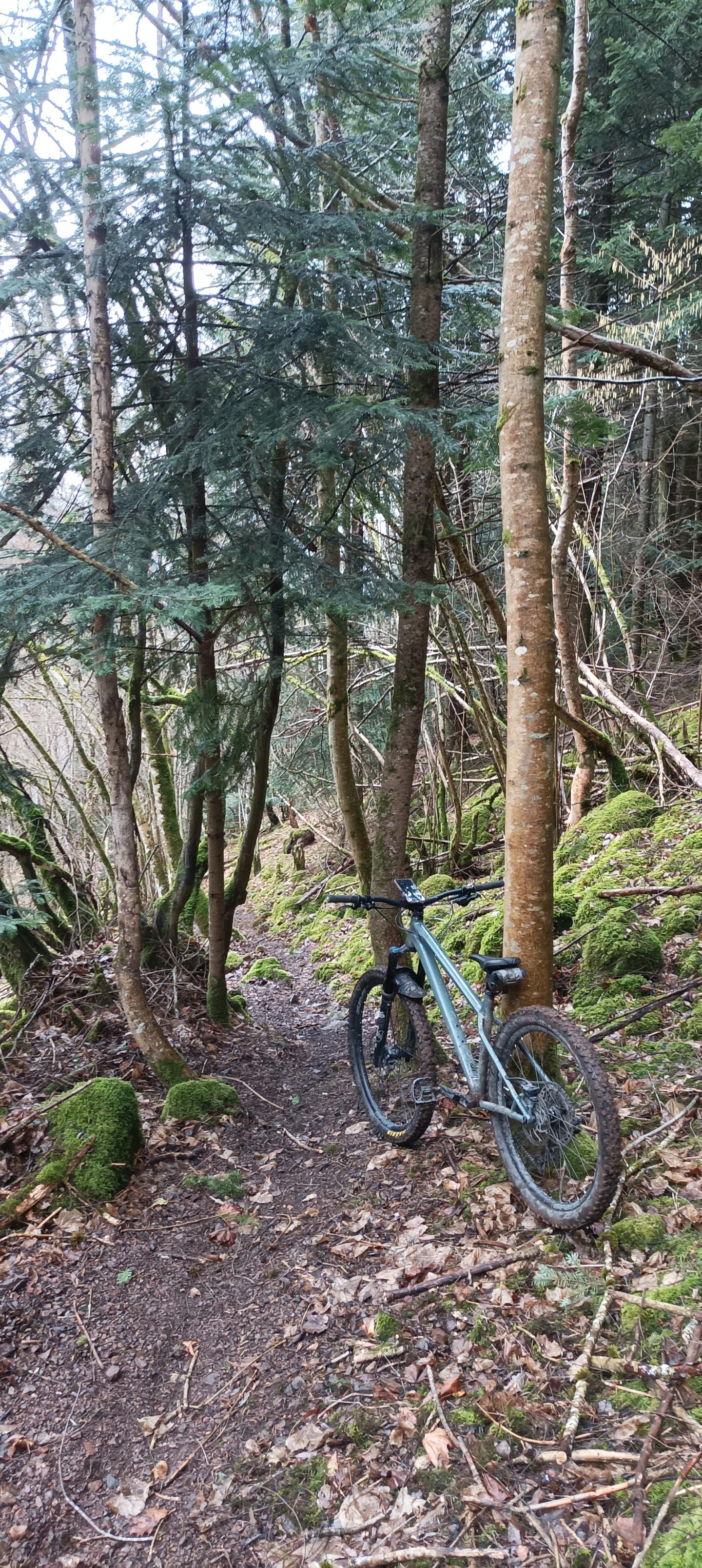 La Démarrante, pur single enduro