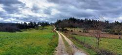Paysage