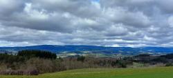 Paysage