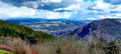 Paysage