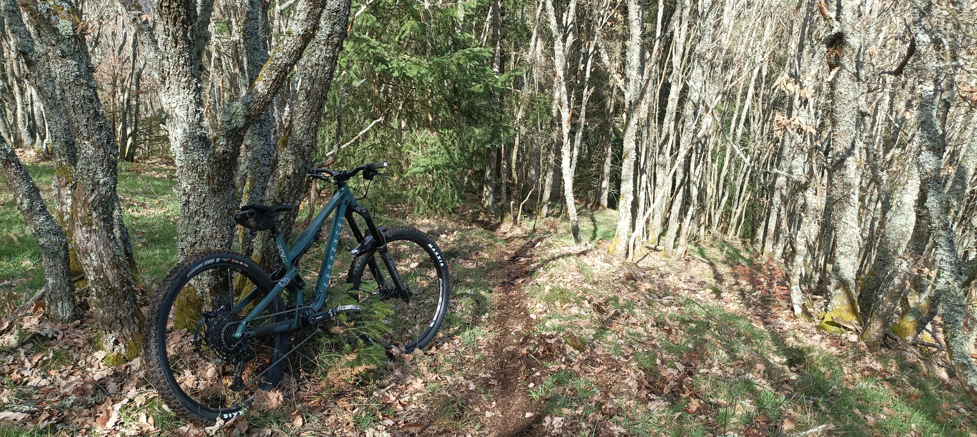 La Jungle, pure trace enduro !