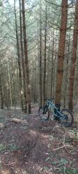 VTT-34901