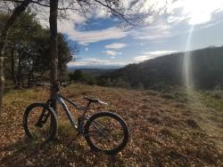 VTT-35012