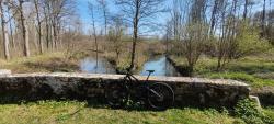 VTT-35036