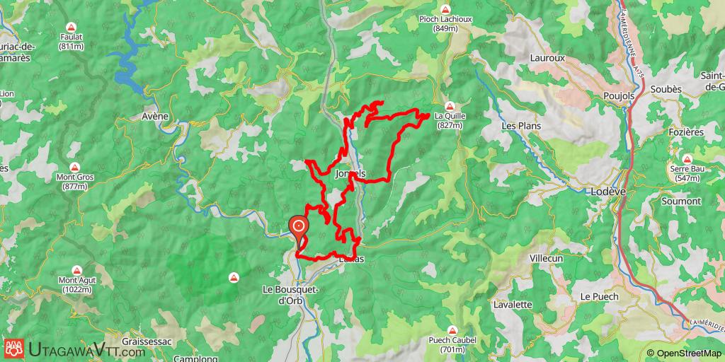 Autour de Taillevent, Joncels et Lunas