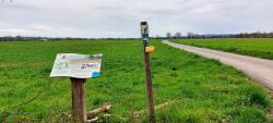 Plaine de Vougy, les Chambons