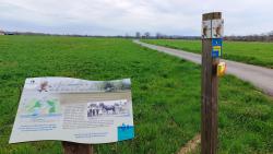 Plaine de Vougy, les Chambons