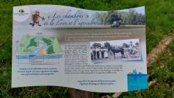 Les Chambons de la Loire